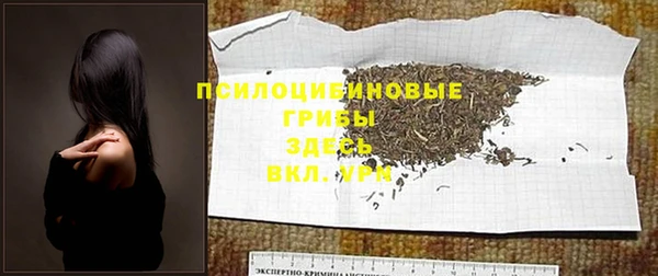 соль ск Богородск