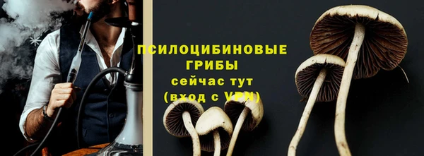 стафф Богородицк