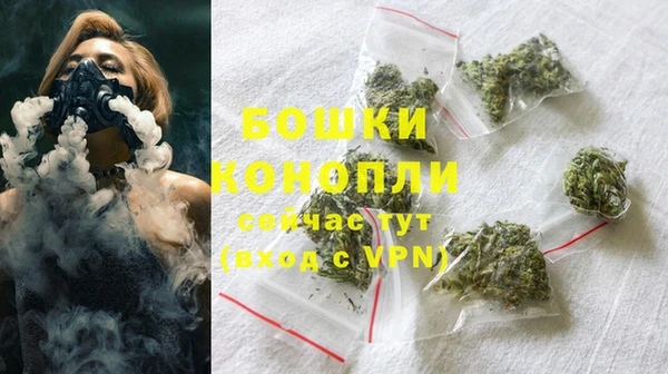 соль ск Богородск