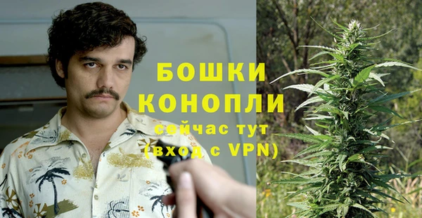 2c-b Богданович