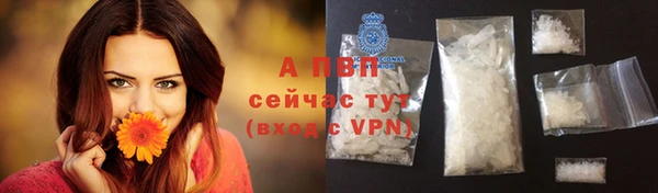 соль ск Богородск