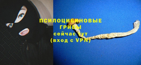 стафф Богородицк