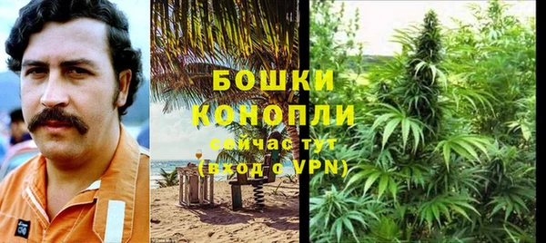 соль ск Богородск