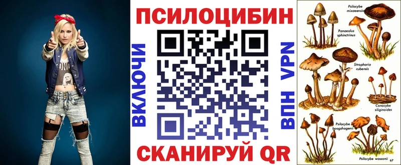 даркнет наркотические препараты  Великий Устюг  Псилоцибиновые грибы Psilocybine cubensis  дарнет шоп 