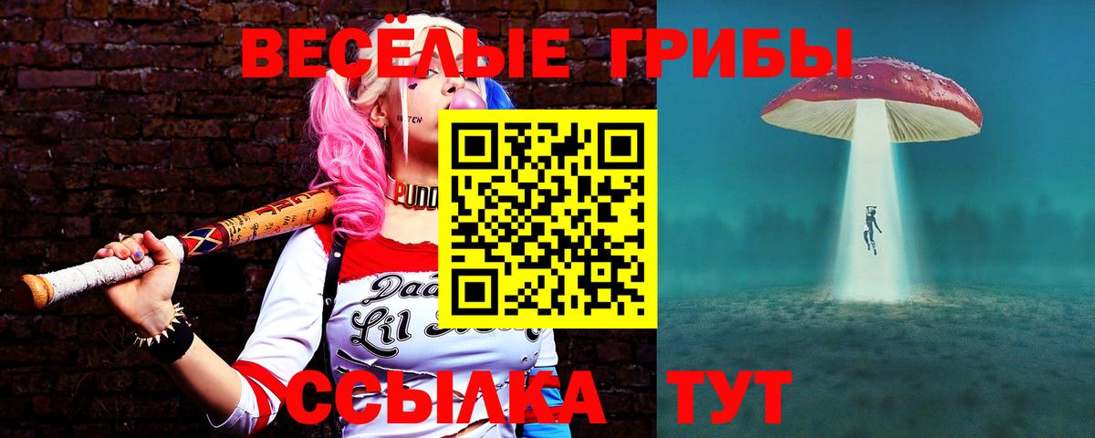 Галлюциногенные грибы Psilocybe  Галлюциногенные грибы Magic Shrooms  Великий Устюг  Вход с VPN 