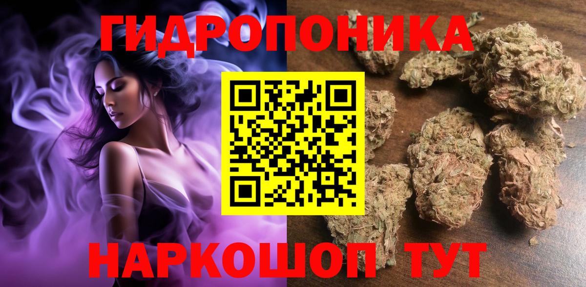 Бошки Шишки Ganja Великий Устюг